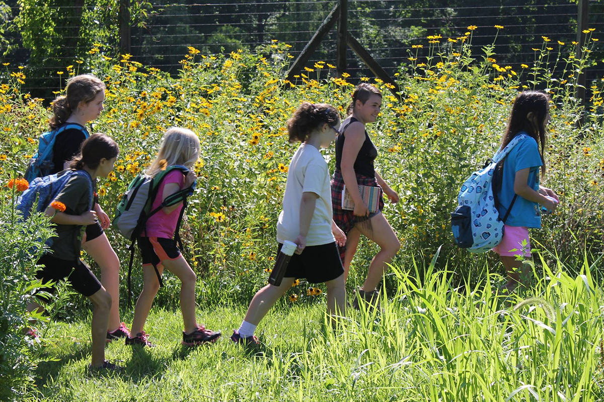 wildflower hikes teatown