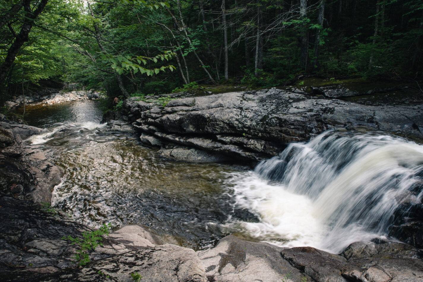 Waterfall in a forest.