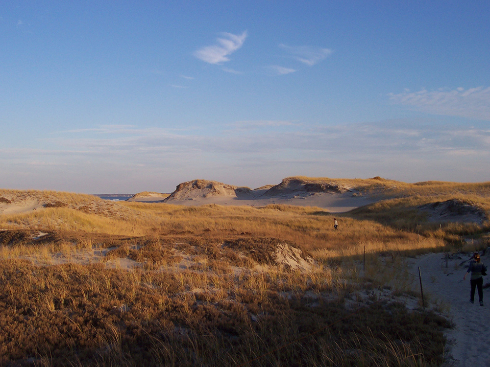 crane beach