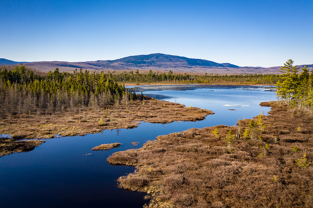 maine land