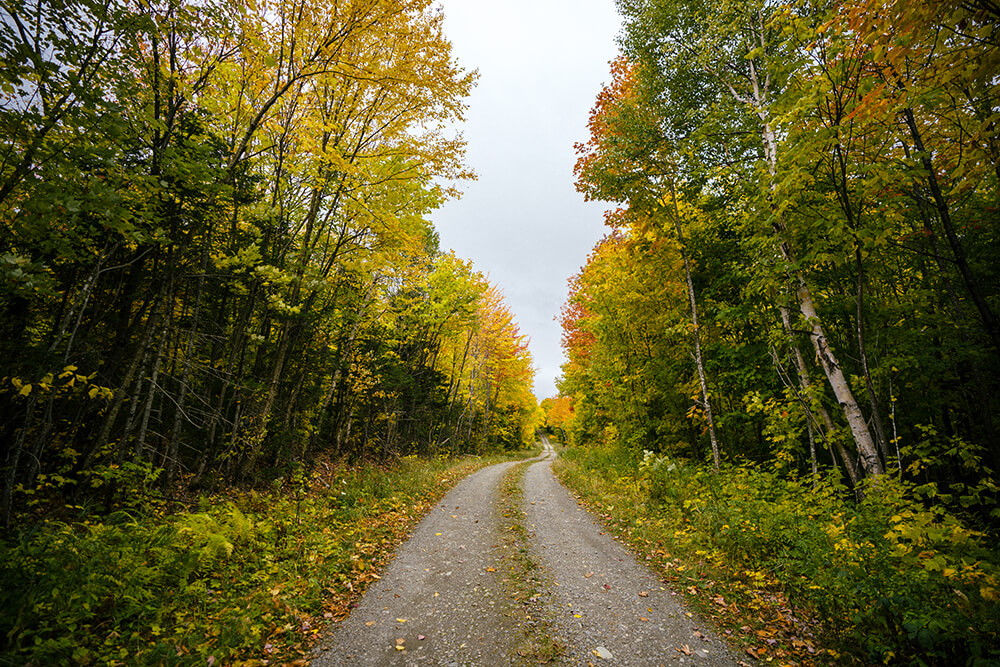 trail running for beginners