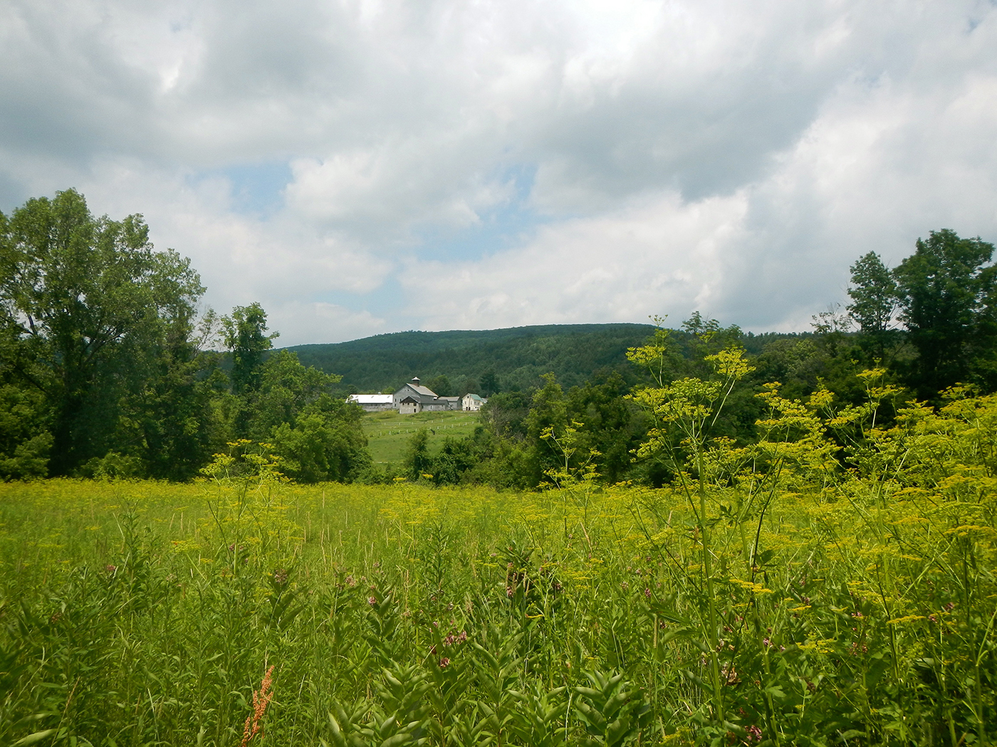 appalachian trail in massachusetts