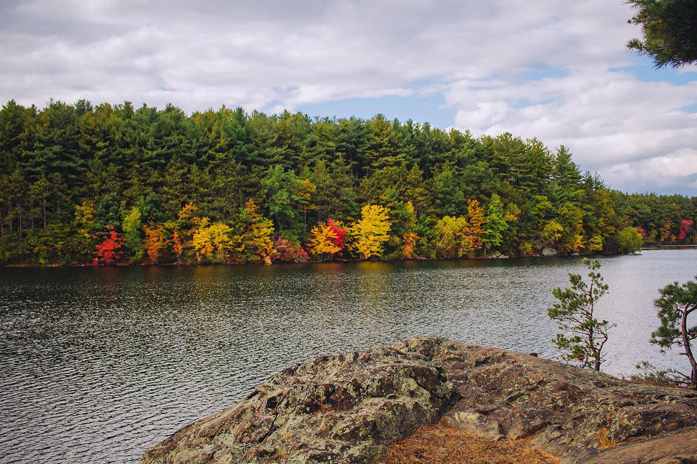 Middlesex Fells Bonnie Kittle Unsplash