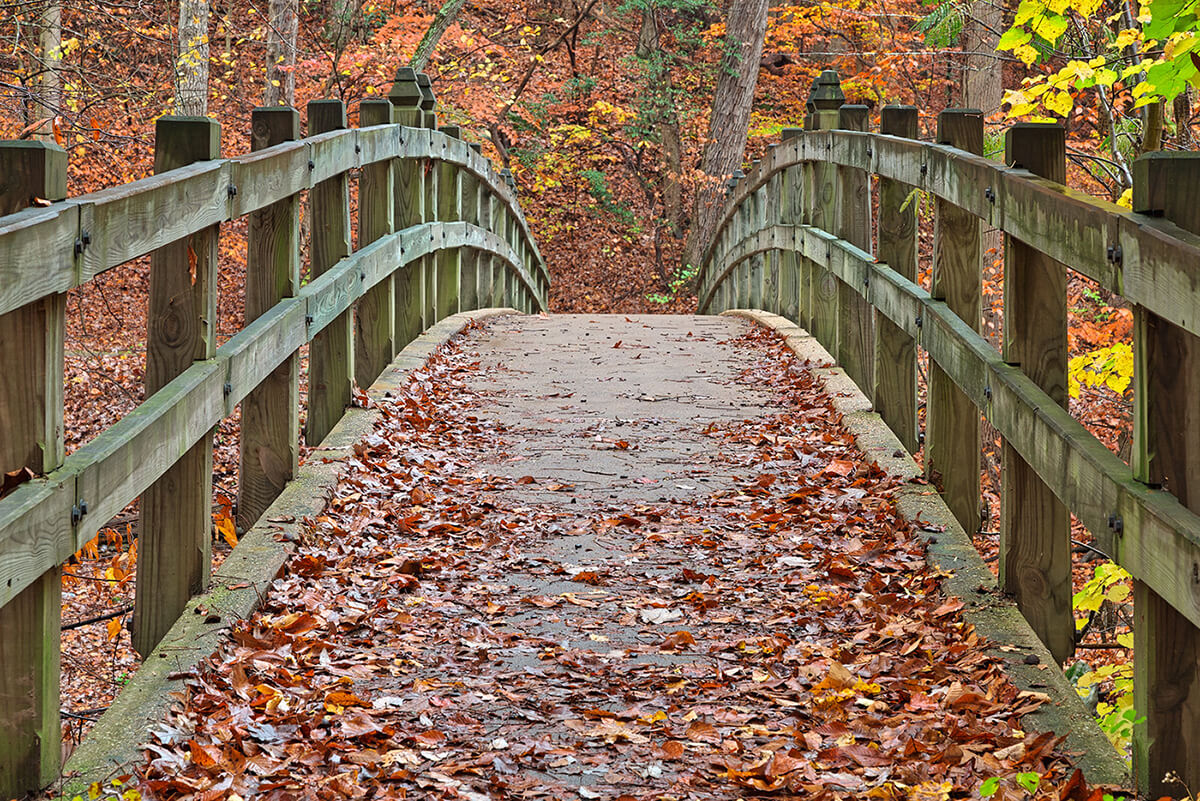 Rock Creek Park