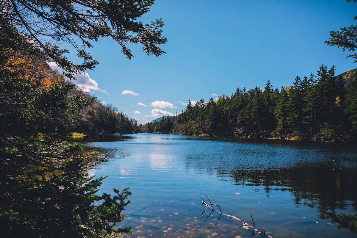 Lost Pond in New Hampshire