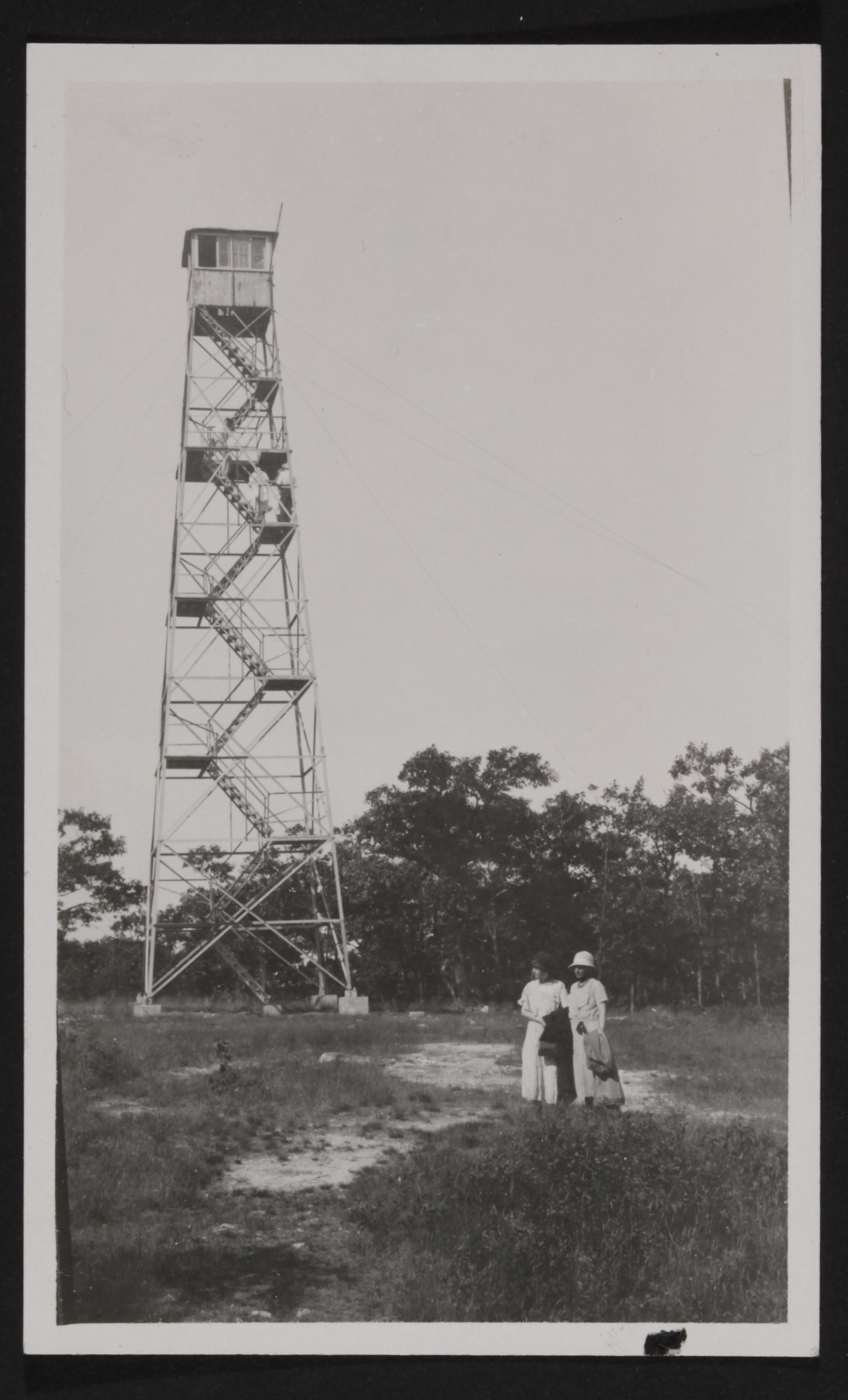 Women fire tower lookouts