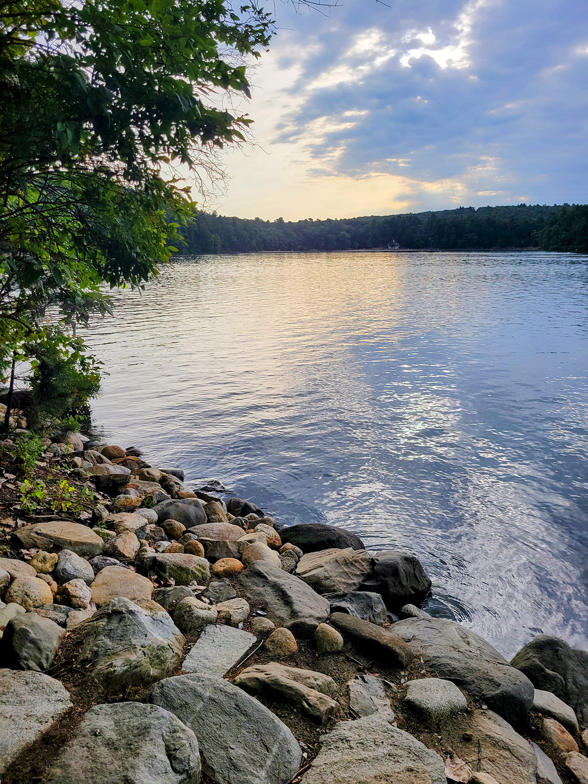 Dawn at Walden Pond, concord, ma