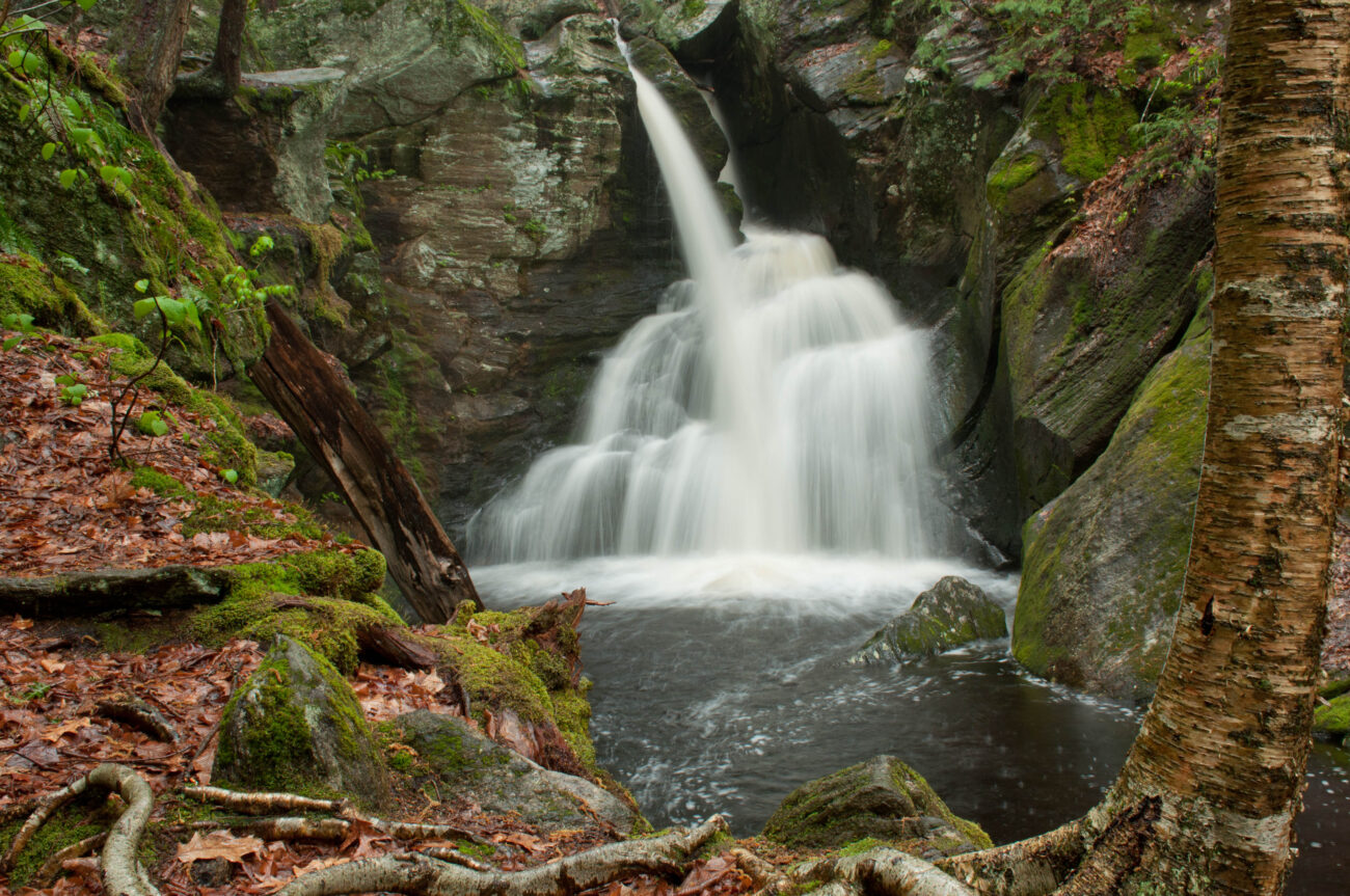 Waterfall in the forest