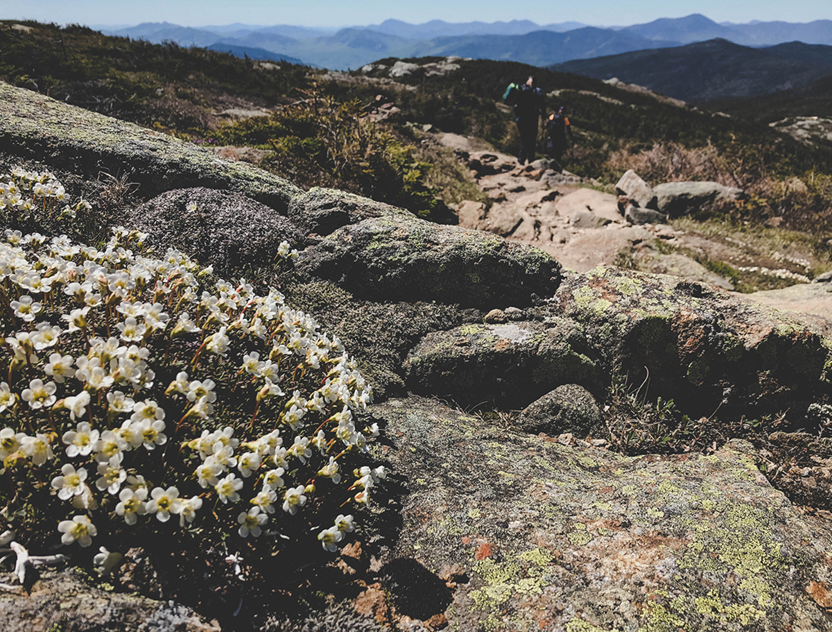 climate change in the mountains