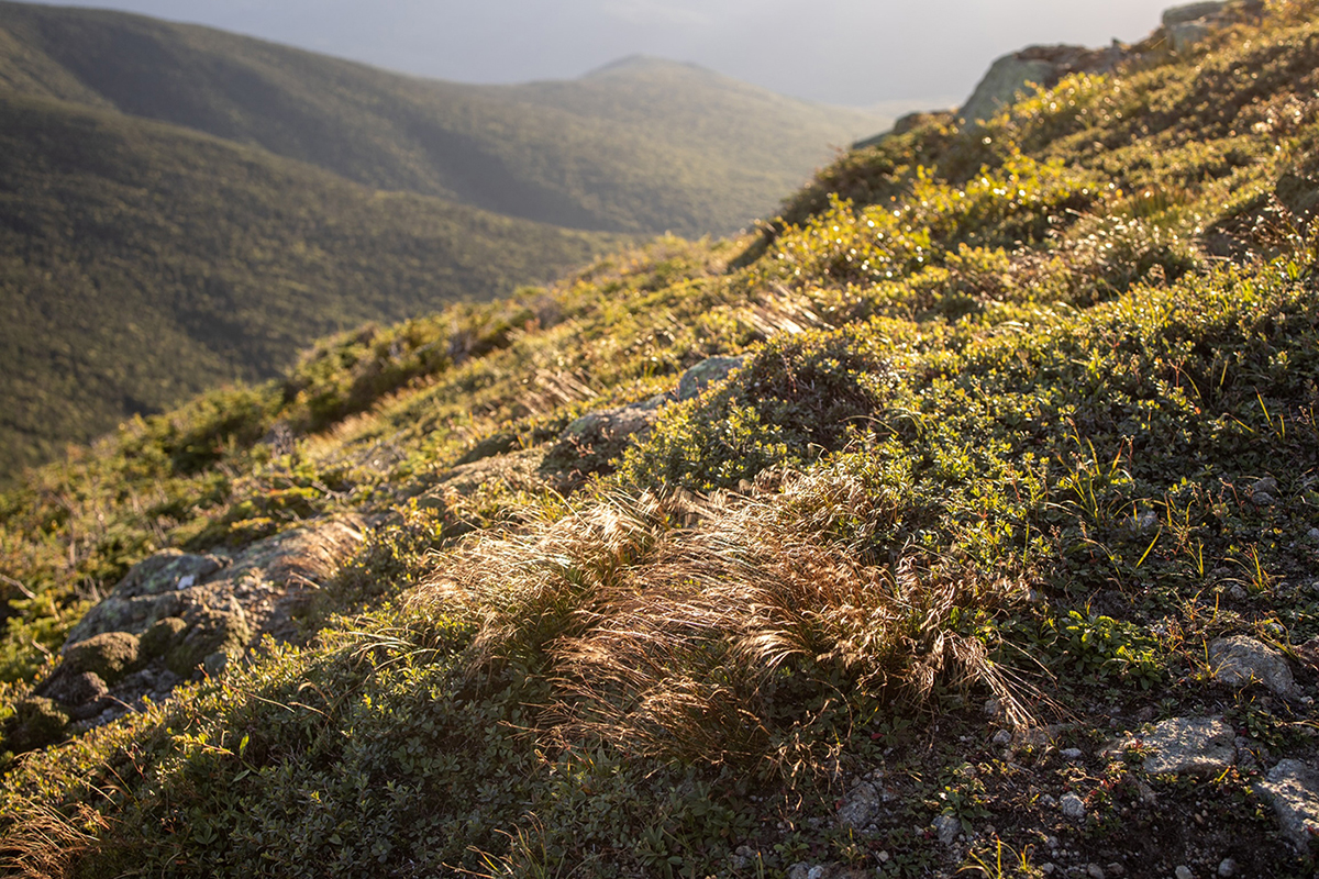 climate change in the mountains