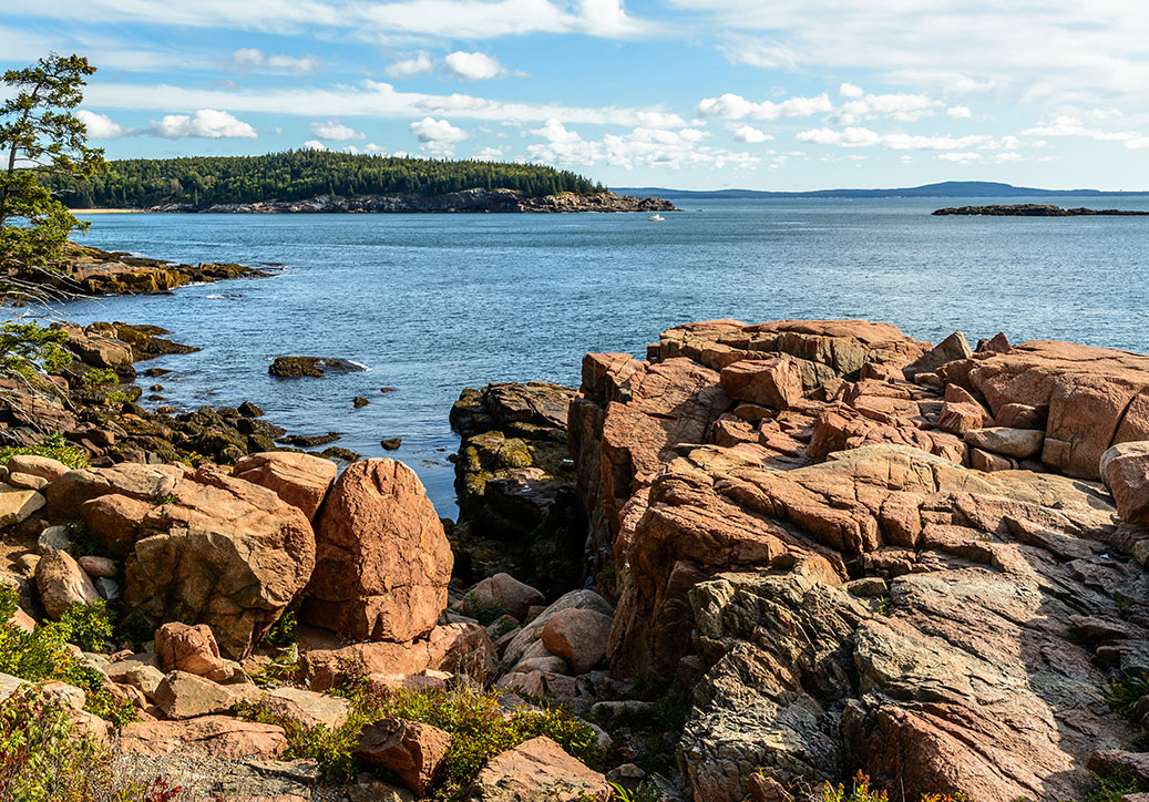 coastal view of Acadia National Park