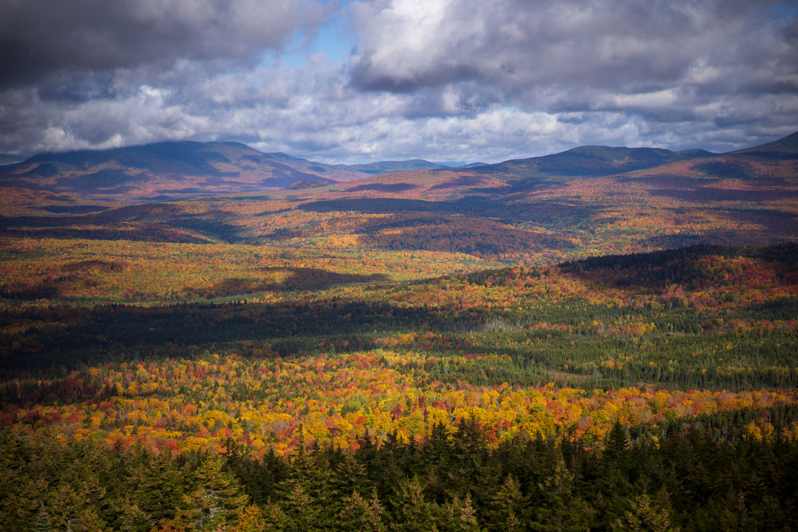 maine ballot question 1