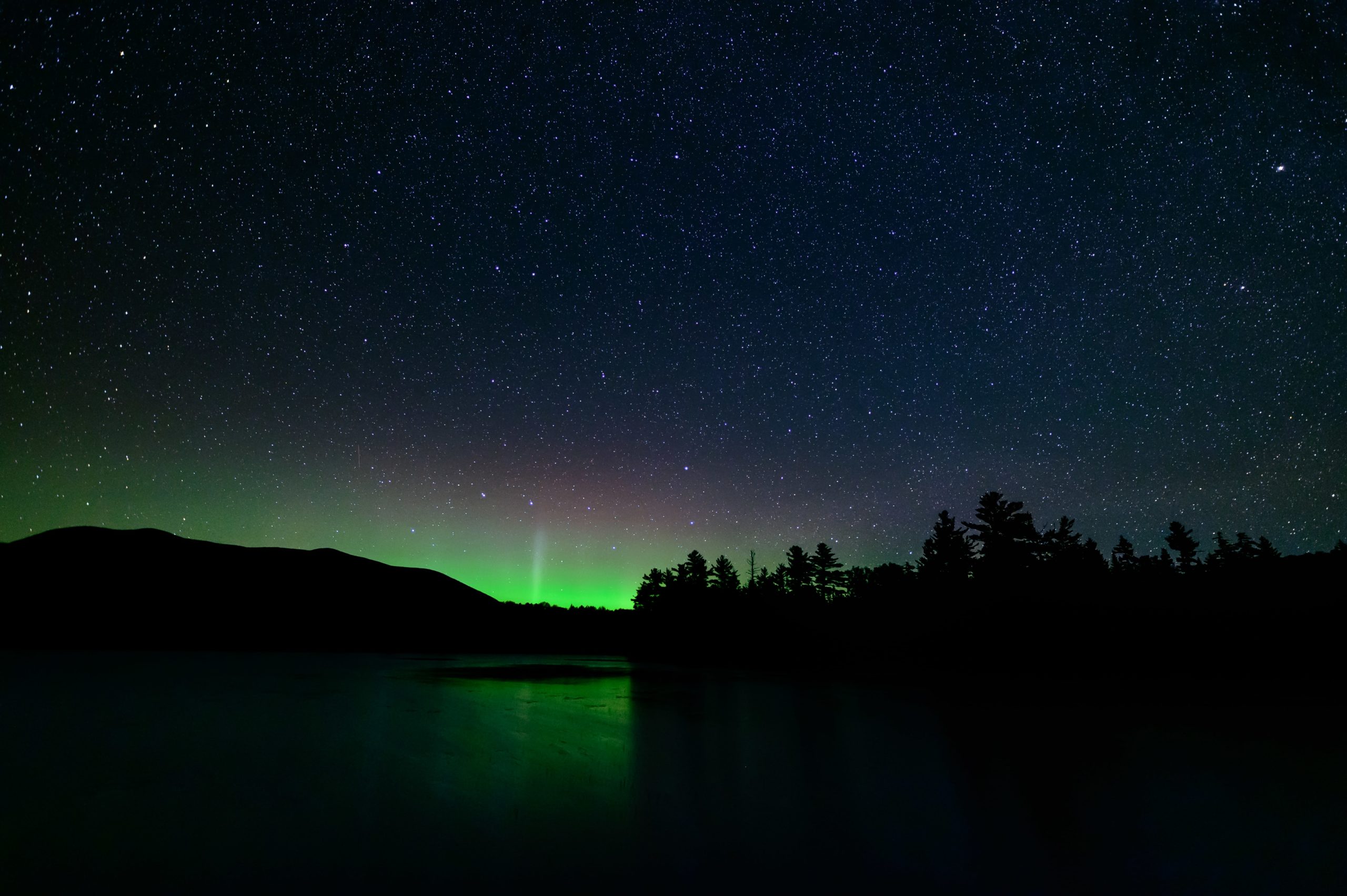 view of the dark skies in Maine Woods