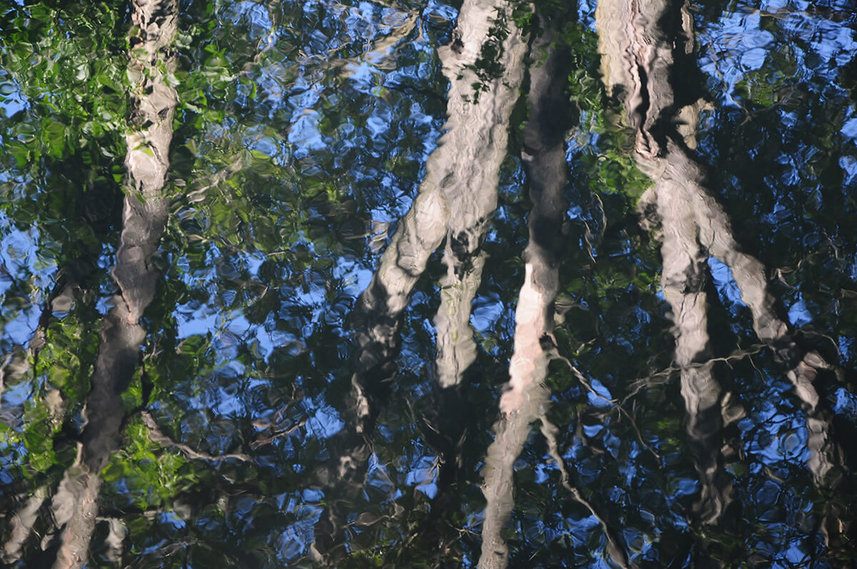 Essex River Ma Acmena Schmid Amc Photo Contest