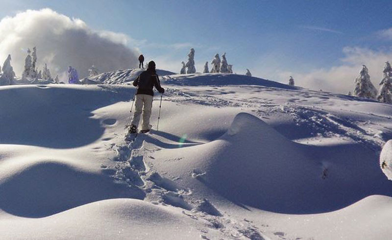 HOW-TO-TURN-TREKKING-POLES-INTO-SNOWSHOE-POLES