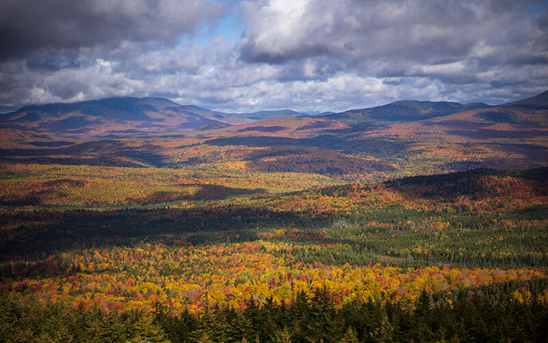 Maine Maine Woods Ian Maclellan Dsc08936