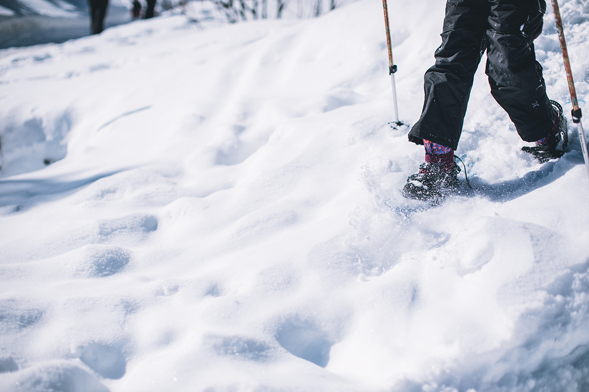 close up of a snowshoe and poles in the snow