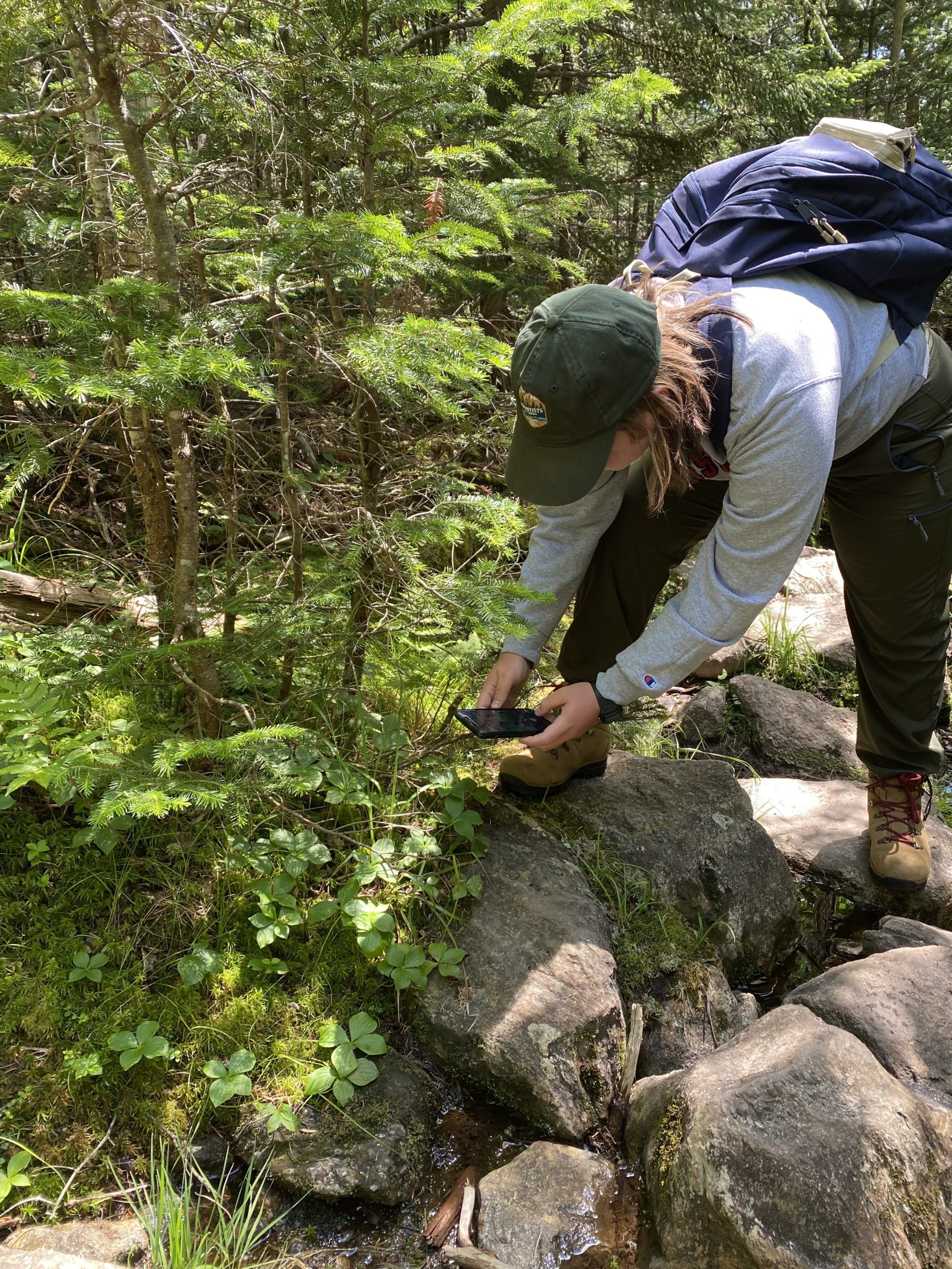 community science intern studying plants