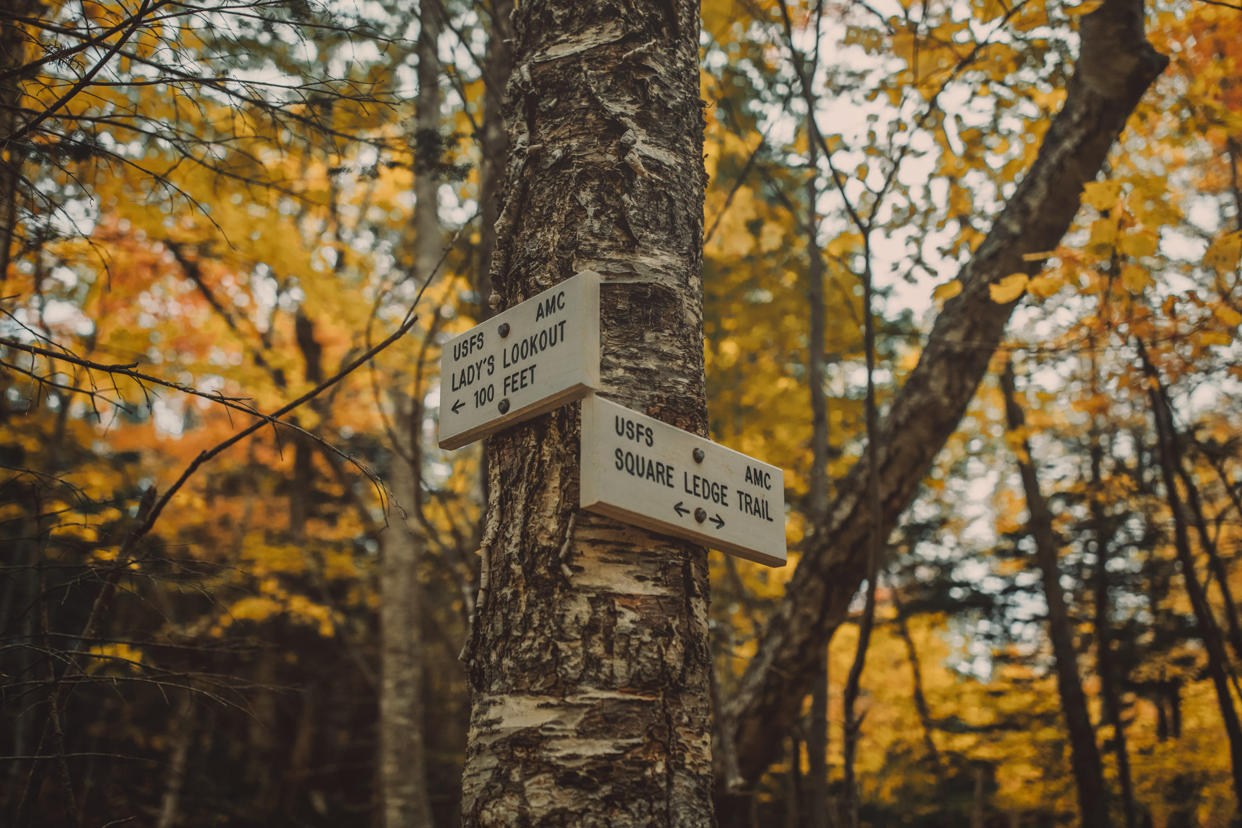 Sign for Square Ledge Trail, Pinkham Notch, White Mountain National Forest, New Hampshire