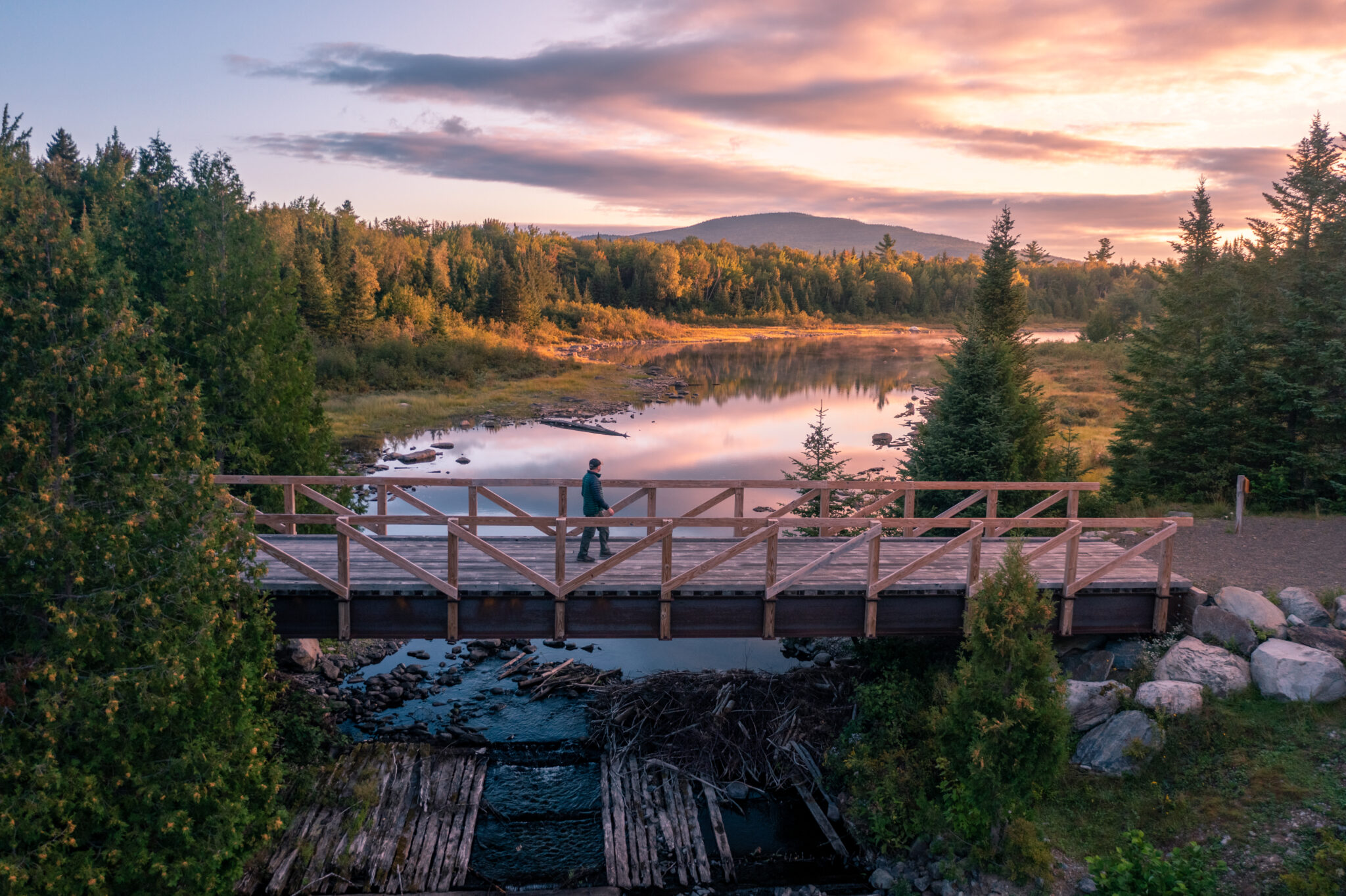 Sept. 1, 2021. Maine Woods, Maine-- Photo by Jamie Malcolm Brown.