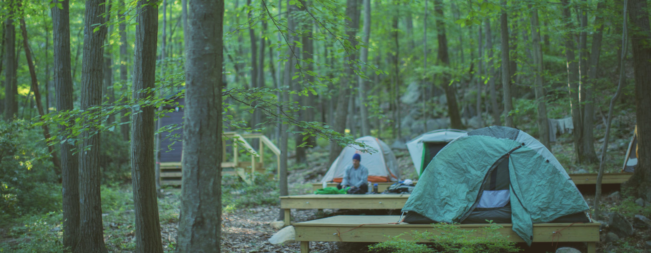 Jun. 15, 2018. AMC Harriman Outdoor Center, Harriman State Park, New York-- Photo by Paula Champagne.