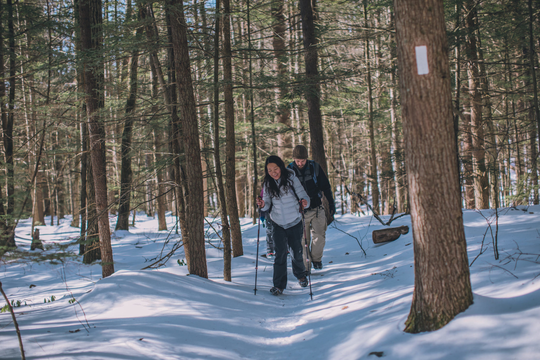 Feb. 16, 2019. New England Trail, Erving, Massachusetts-- An AMC Worcester Chapter hike. Photo by Paula Champagne.