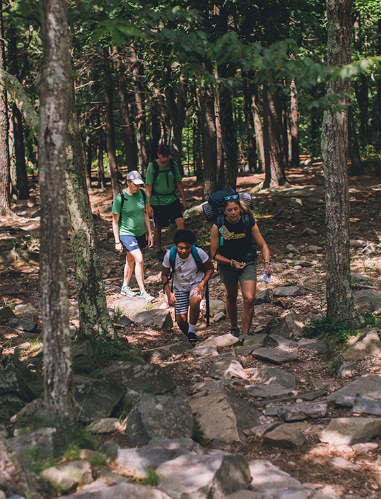 Hiking the Blue Hills Reservation in MA