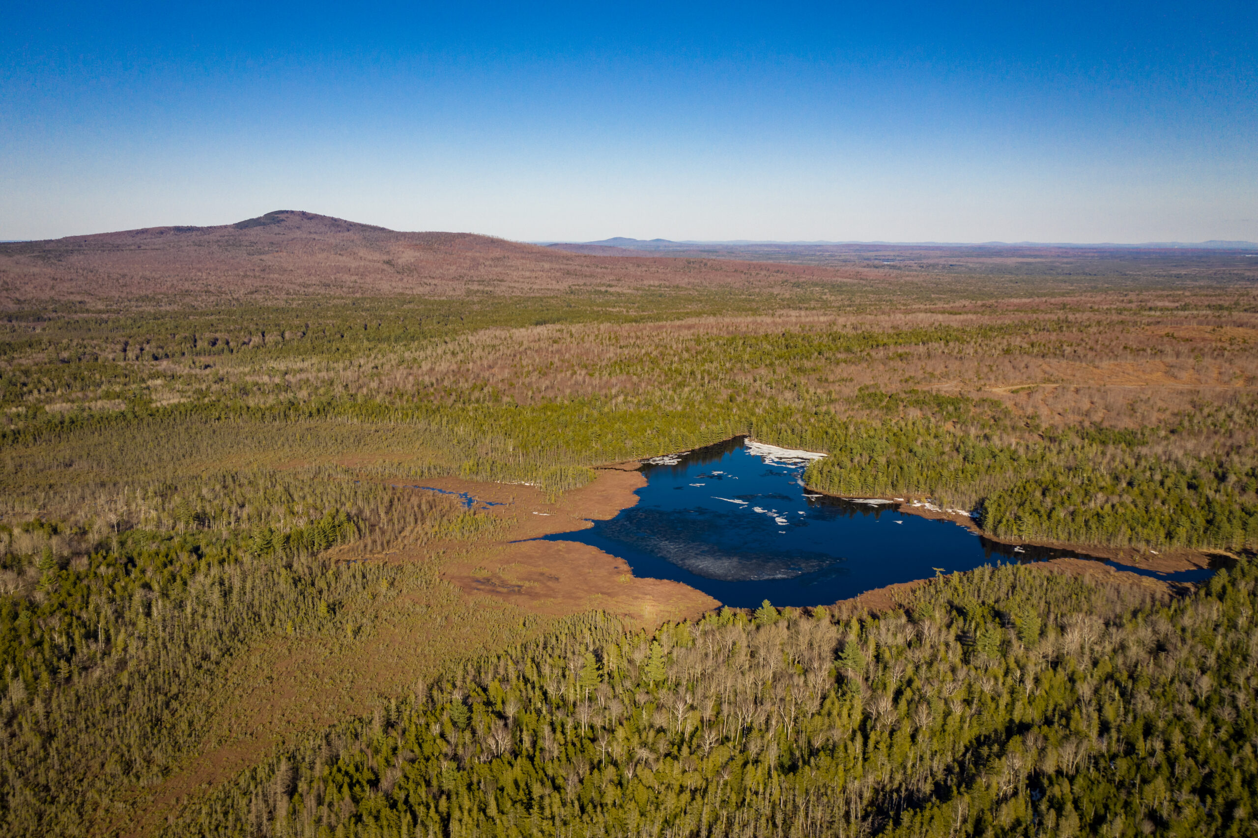 Pleasant Rivers Headwaters Forest