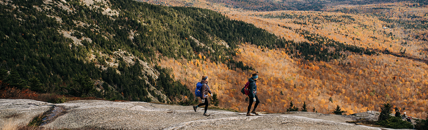 fall foliage hikers on mount cardigan