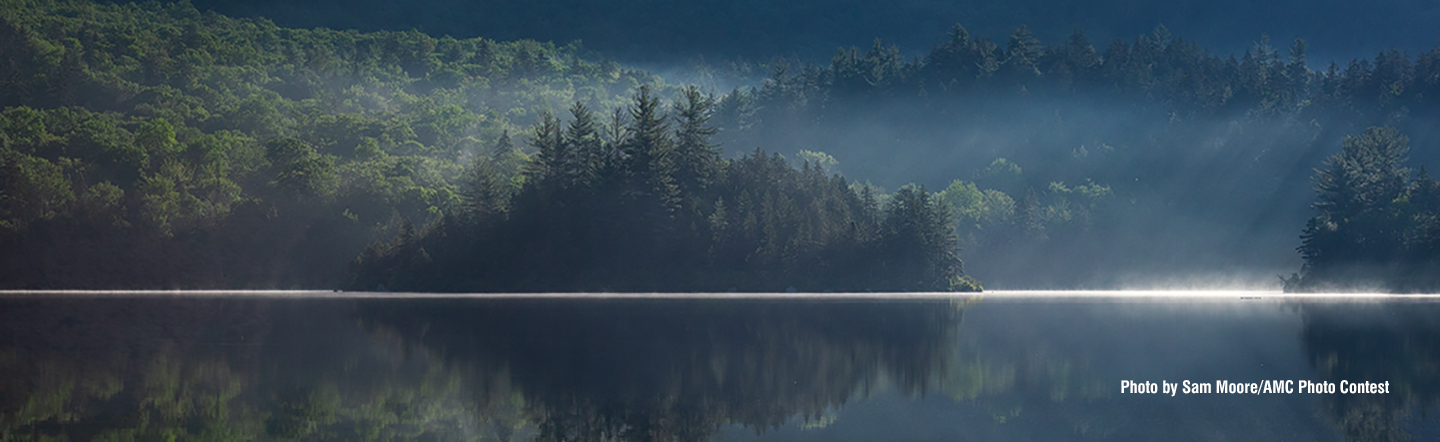 Lake in a forest