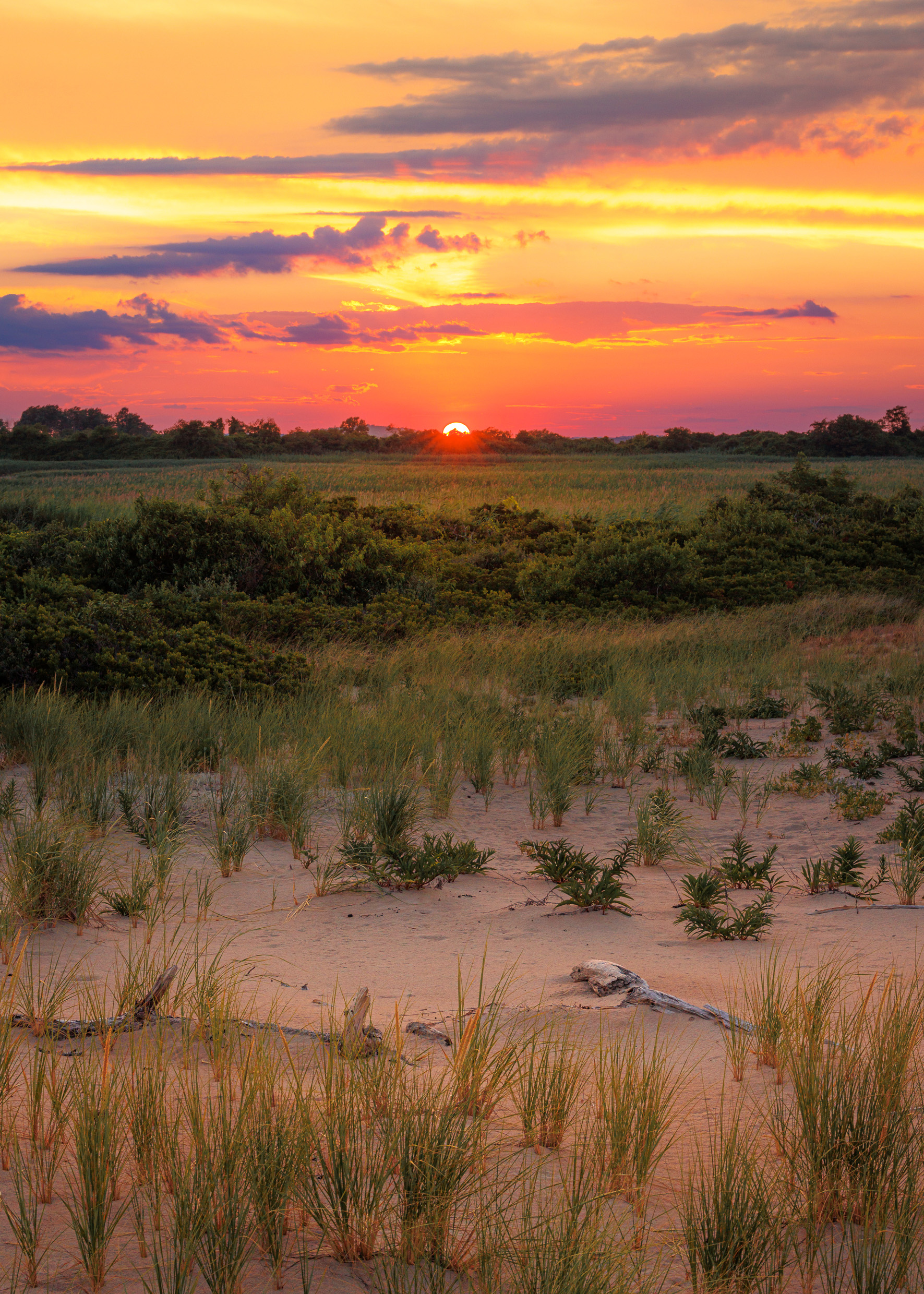 Rejim Thornhill2 Och Plum Island Ma Copy