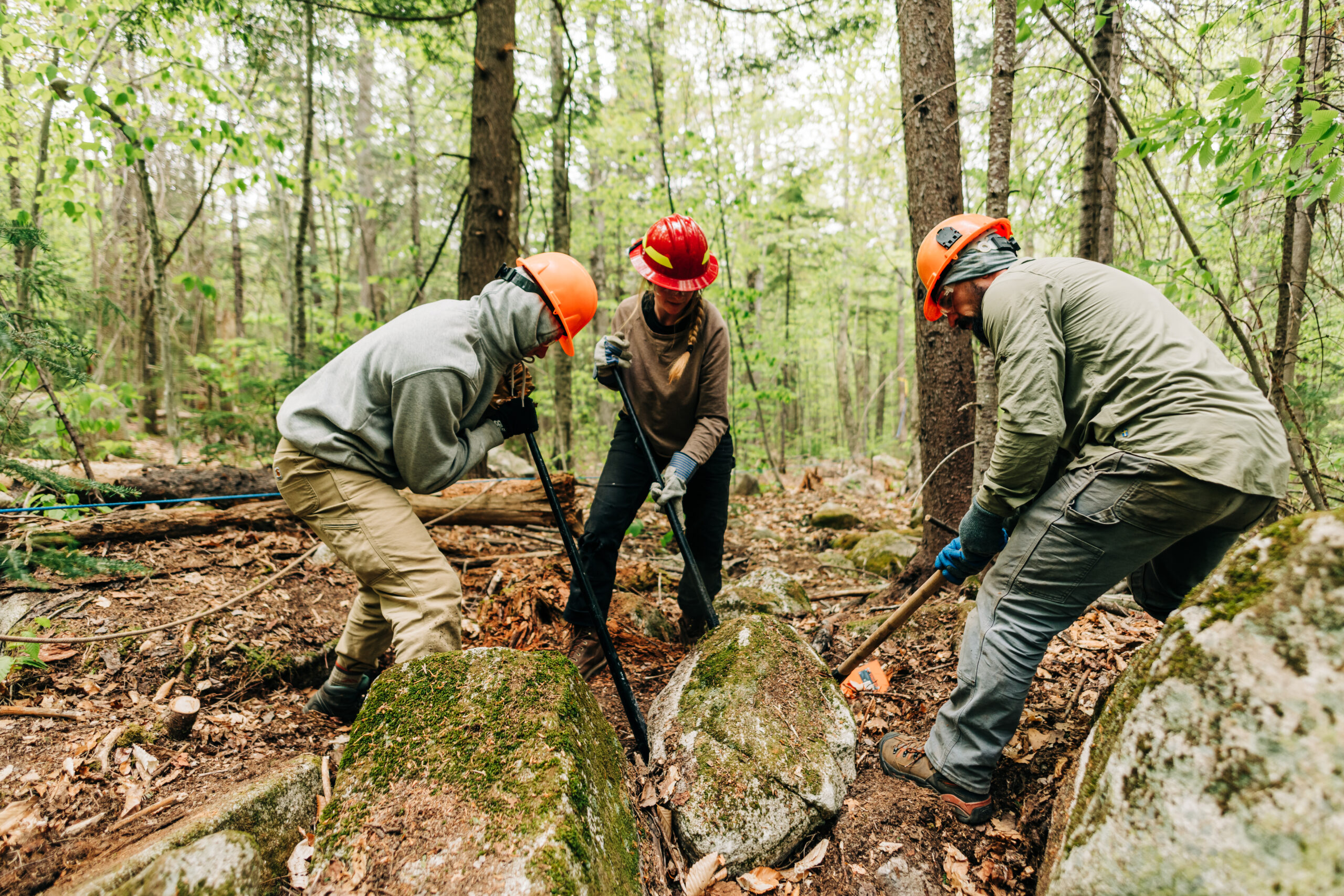 Trail skills training